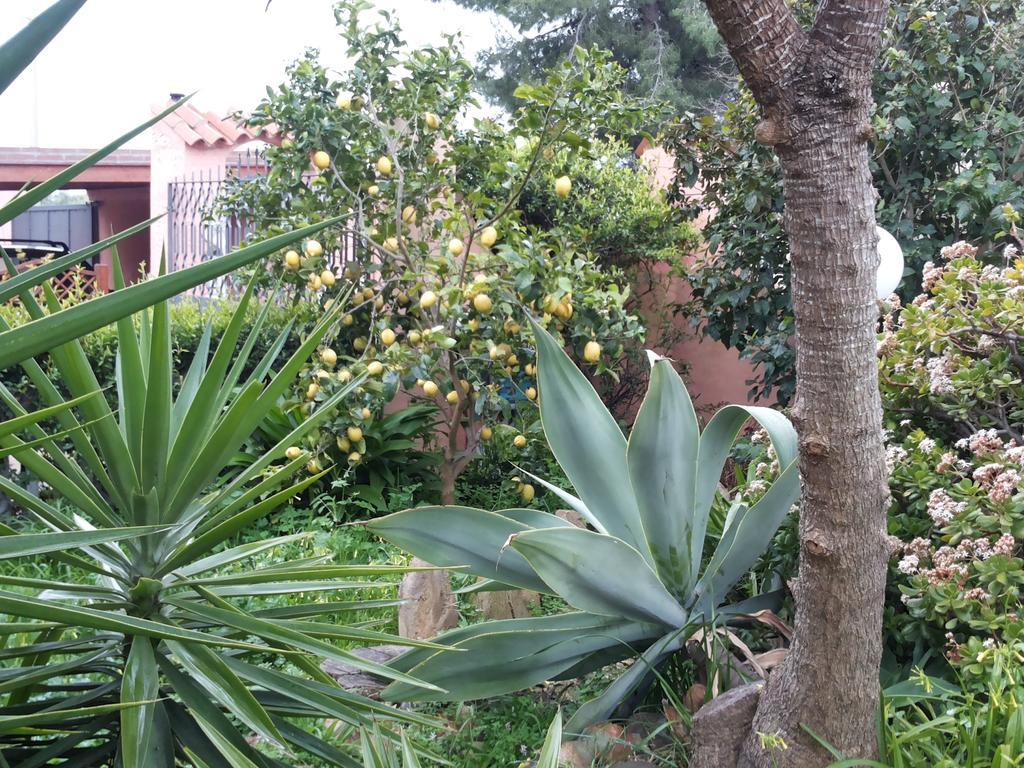 Residenza Bea Villa Flumini di Quartu Rom bilde